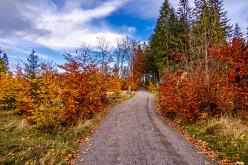 Fototapeta premium Herbstliche Wanderung durch den Spittergrund bei Tambach-Dietharz zum Wasserfall - Thüringer Wald - Thüringen - Deutschland
