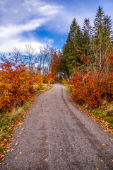 Herbstliche Wanderung durch den Spittergrund bei Tambach-Dietharz zum Wasserfall  - Thüringer Wald - Thüringen - Deutschland