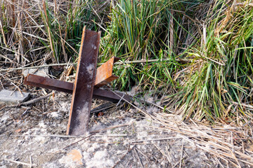 An anti-tank hedgehog next to thick reeds