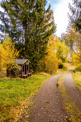 Herbstliche Wanderung durch den Spittergrund bei Tambach-Dietharz zum Wasserfall  - Thüringer Wald - Thüringen - Deutschland