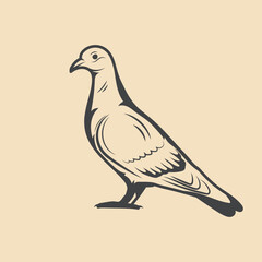 pigeon Bird Retro vector Stock Illustration