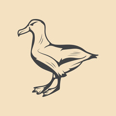 Retro albatross Bird vector Stock Illustration