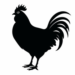 Chicken black icon on white background. Rooster silhouette