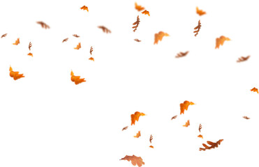 autumn leaves border. Falling  Maple Leaves PNG , Flying Leaves, Leaves PNG. Autumn leaves png , yellow leaves  - obrazy, fototapety, plakaty