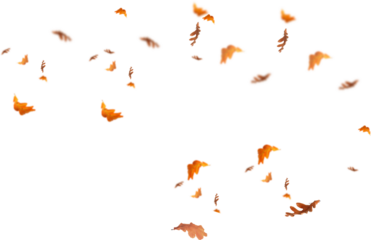 autumn leaves border. Falling  Maple Leaves PNG , Flying Leaves, Leaves PNG. Autumn leaves png , yellow leaves 