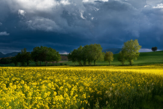 Primavera burrascosa
