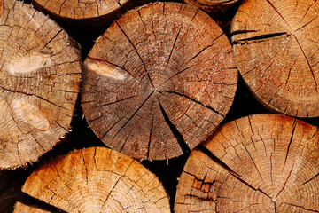 Fototapeta premium Woodpile pattern or texture. Round cuts of wood in natural light. Concept for background, wallpaper, or design element with copy space for your text or logo.
