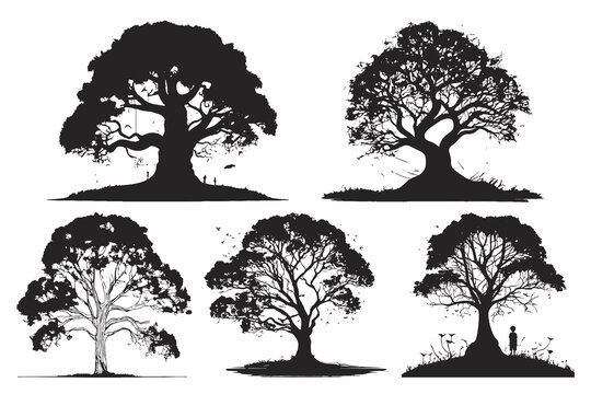 collection of big tree silhouettes in summer on isolated white background