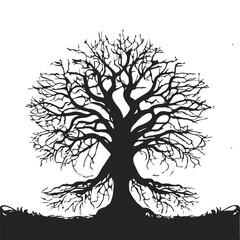 Obraz premium silhouette of big tree in summer on isolated white background