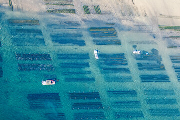 vue aérienne de parcs ostréicoles dans le Bassin d'Arcachon en France - 673315994