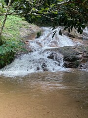 stream in the forest