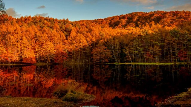 秋の紅葉で赤く染まる御射鹿池_左上パン