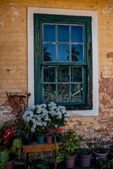 Fototapeta na wymiar Vintage green window on yellow brick wall decorated with colorful flowers in vases