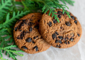 Chocolate cookies on a plate with spruce branches on the table. Dark chocolate cookies on a plate, Christmas cookies chocolate cinnamon sweet dessert holiday treat new year and christmas food