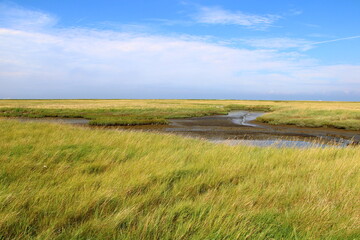 Landscape on the island of Neuwerk | Wadden Sea National Park
