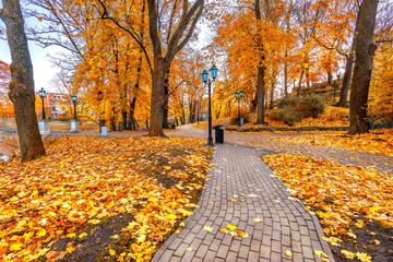 Golden autumn in old European park with pedestrian walkways