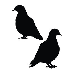 Dove Silhouette on White