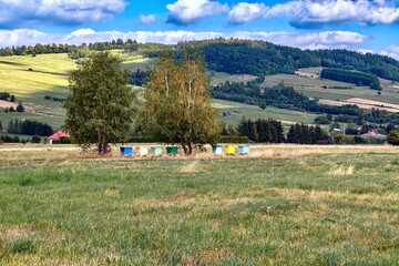 Alpine meadows in the Carpathians, Poland. View of an apiary with colorful beehives.