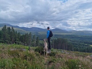 Fototapeta na wymiar Weimaraner dog and hikers in the forests and mountains and lakes around Glenmore in the Cairngorm National Park in the highlands of Scotland