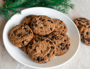 Chocolate cookies on a plate with spruce branches on the table. Dark chocolate cookies on a plate, Christmas cookies chocolate cinnamon sweet dessert holiday treat new year and christmas food