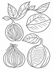 Fruits coloring pages for kids