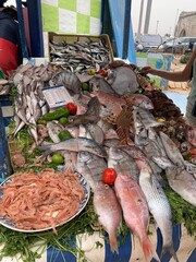 fresh fish at Essaouira morocco 