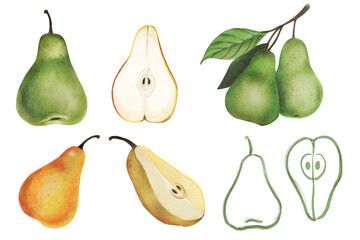 set of pears isolated Hand drawn illustration on transparent background