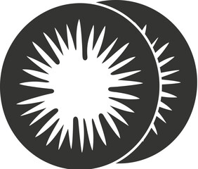 Kiwi Slices Icon