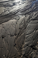 The bottom of the river after low tide