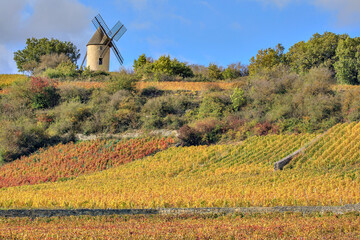 Les vignes près du  moulin à vent Sorine à Santenay, Bourgogne - 673347397