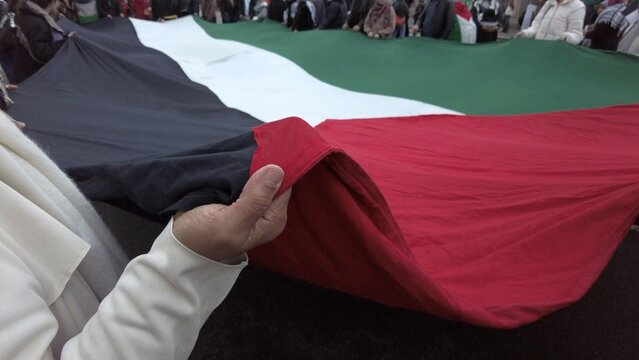 Islamic Arab woman hand holds Palestine flag in a street demonstration - protest after the start of the war between Israel and Hamas in Gaza 