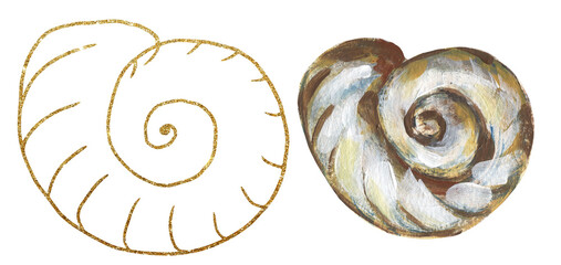Fototapeta premium Acrylic hand painted sea shells illustration, golden graphic liner shell clipart, ocean life clip art