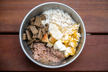Top view of carefully prepared meal for dog with meat, rice, apples, eggs and kibble