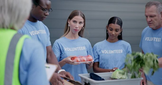 Volunteer group, food donation and people count grocery product, stock or vegetables for charity, NGO or distribution. Project leader, diversity or city team, activist or community for non profit