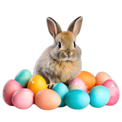 Fototapeta na wymiar rabbit and painted eggs isolated on transparent or white background, png
