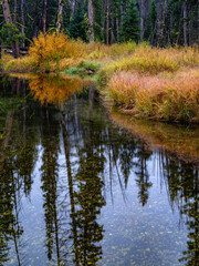 Mountain steam with reflection in autumn rain