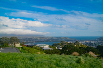 Fototapeta na wymiar Wellington city in NZ near the airport, with the blue ocean and strong winds