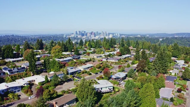 Bellevue from a Far