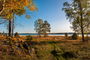Obraz premium Autumn day with sunshine at a lake in Sweden