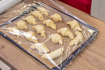 A tray of classic French croissants.