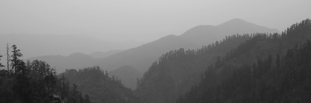Monochrome image of mountain forests near Ghandruk, Nepal.