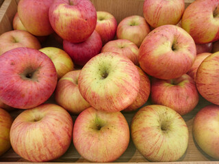 Fresh organic red and yellow apples piled in a wooden crate, showcasing a vibrant and healthy harvest perfect for food, farming, and agricultural concepts
