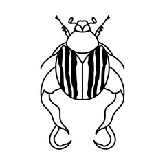 Weird Insects Icon For Logo And More