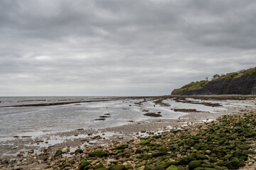 Landscape view of Monmouth Beach in Lyme Regis, Dorset, England in May. No recognisable people.