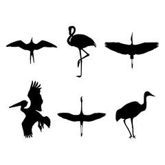 Egret Bird silhouettes black white collection vector illustration.