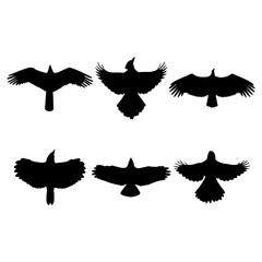 Flying bird silhouette set design inspiration vector illustration. - obrazy, fototapety, plakaty