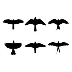 Flying bird silhouette set design inspiration vector illustration.