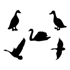 Obraz premium The duck hand drawn animals silhouette set vector illustration.
