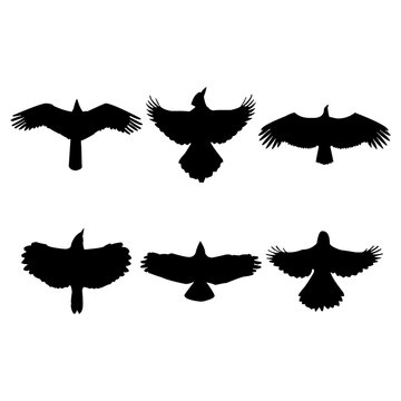 Flying bird silhouette set design inspiration vector illustration.