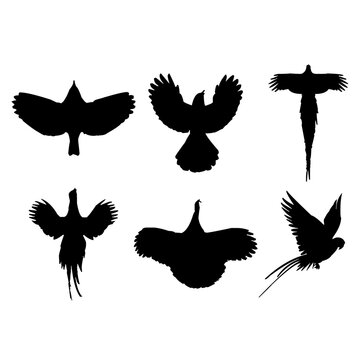 Flying pheasant silhouette set design inspiration